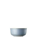 Produktbild: Thomas Rosenthal Nature - Water - Müslischale/Schale/Bowl - Steinzeug - blau - Ø 15 cm