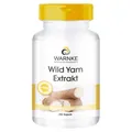 Produktbild: WILD YAM Extrakt Kapseln 250 St