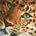 Produktbild: Lanarte Kreativset Lanarte PN-0155213 Nahaufnahme vom Leoparden Kreuzstichpackung, (Set, embroidery Kit), Made in Europe