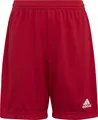 Produktbild: adidas Sportshorts Kinder ENT22 TR SHOY (Größe: 164)