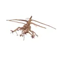 Produktbild: Aquaone Aquarium L Siennawurzel Nr.1285 Wurzel Holz Aquarium Deko Aquascaping
