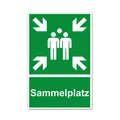 Produktbild: XXL Sammelplatz Schild 30 x 40 cm aus stabiler PVC Hartschaumplatte 5 mm Samm...