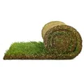 Produktbild: Spiel- & Sport-Rollrasen je m² Bestellmenge 30-39 m²