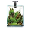 Produktbild: Aquael Shrimp Set Day & Night 19 Liter schwarz 25x25x30cm Nano Aquarium Garnelen