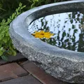 Produktbild: Granit Wasserschale Vogeltränke Naturstein Ø 46cm groß Vogelbad Steinschale 5