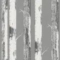 Produktbild: Rasch home style Tapete 285420 - Graue Papiertapete mit Birkenstämmen, Birkenwald - 10,05m x 0,53m