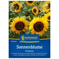 Produktbild: Blumensamen, Sonnenblume 'Pradomio'