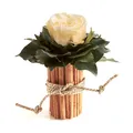 Produktbild: ROSEMARIE SCHULZ Heidelberg 1 Ewige Rose Champagner Vase Zimtstangen Rosenbox konserviert Landhaus Deko (Beige)