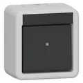 Produktbild: Gira Wippschalter AusWe WG AP 310630 Grau (310630)