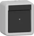 Produktbild: GIRA 310630 Wippschalter Aus-Wechsel WG AP IP44 Grau