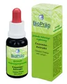 Produktbild: Cayenne Extrakt – Gewürz-Tinktur 20 mL (Hersteller: Biopräp, Deutschland)