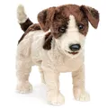 Produktbild: Jack Russell Terrier / Jack Russell Terrier
