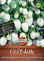 Produktbild: Eierbaum, Essbare Früchte