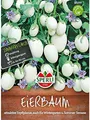 Produktbild: Sperli Gemüsesamen Eierbaum, grün