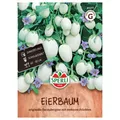 Produktbild: Sperli Saatgut Eierbaum