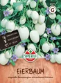 Produktbild: Eierbaum - Solanum melongena, Zimmerpflanze, Balkon & Terrasse, Samen 85277