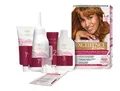 Produktbild: 651513 L`Oreal Excellence Creme Haarfarbe 6.41 Hell Bernsteinfarben Braun