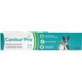Produktbild: Canikur Pro Paste für Hund und Katze bei Durchfall veterinär 15 ml