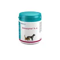 Produktbild: almapharm Almazyme h.a. Pulver | 500 g | Ergänzungsfuttermittel für Hunde und Katzen | Bei Nahrungsunverträglichkeiten | Vitalstoffe für optimalen Nahrungsaufschluss