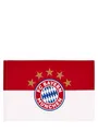 Produktbild: FC Bayern München Fahne I Logo I Rot-Weiß I 90 x 60 cm I Fußball
