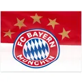 Produktbild: FC Bayern München Logo Fahne 90x60cm rot weiss Fussball Fan Club Polyester neu
