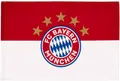 Produktbild: FC Bayern München Fahne Flagge 5 Sterne Logo 90x60 offizielles Lizenzprodukt