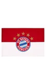 Produktbild: FC Bayern München Fahne Logo 90x60 cm