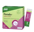 Produktbild: Salus Floradix® Eisen Sticks (20 Satchets) inkl. 15ml Gratisprobe Kräuterblut mit Eisen