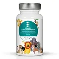 Produktbild: Orthodoc Vitamin Lutschtabletten