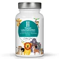 Produktbild: OrthoDoc® Vitamin Lutschtabletten