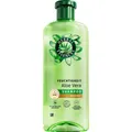 Produktbild: Herbal Shampoo Feuchtigkeit Aloe