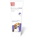 Produktbild: PHA BeruhigungsPaste f.Hunde 100 ml