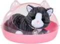 Produktbild: Baby Born Kuscheltier Meine Katze Cookie mit Box