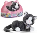 Produktbild: BABY born Katze Cookie mit Transportbox