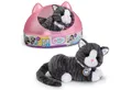 Produktbild: Babypuppe BABY born Meine Katze Cookie mit Box