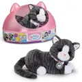 Produktbild: BABY born Meine Katze Cookie mit Box