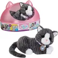 Produktbild: Interaktive Kätzchenpuppe mit Geräuschen und Transportbox MY-CAT-COOKIE