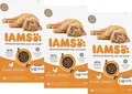 Produktbild: IAMS Advanced Nutrition Kitten (€ 6,33/kg) Huhn Trockenfutter Kätzchen: 3 x 3 kg
