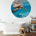Produktbild: K&L Wall Art Fototapete Schildkröte auf Reisen, Vliestapete, rund, Ozean Freiheit, Meeresschildkröte Tapete blau 1.88 m x 1.88 m