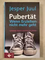 Produktbild: Pubertät - Wenn Erziehen nicht mehr geht - Gelassen durch stürmische Zeiten. Juu