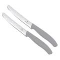 Produktbild: Victorinox | Swiss Classic Tafelmesser-Set | ergonomischer Griff | spülmaschinengeeignet | Limited Edition Cool Grey | 11 cm Klingenlänge