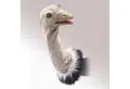 Produktbild: Folkmanis Handpuppen Handpuppe Folkmanis Vogel Strauß für Puppenbühne