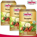 Produktbild: Substral Naturen 3 x 1,5 kg Bio Hornspäne Extra fein