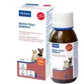 Produktbild: Virbac RecoVital Energy | 180 ml | Diät-Ergänzungsfuttermittel für Katzen und kleine Hunde | Zur ernährungsphysiologischen Wiederherstellung und in der Rekonvaleszenz