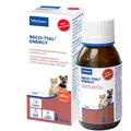Produktbild: RecoVital Energy 180ml für kleine Hunde und Katzen in der Reconvaleszenz