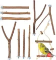 Produktbild: Vogelgaleria® 10er Natur Sitzstangen Set für Vögel inkl. GRATIS Schaukel und 3 Y Stangen für Wellensittich, Nymphensittich & Co