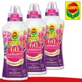 Produktbild: COMPO 3 x 750 ml 60 Tage Langzeit Blumendünger