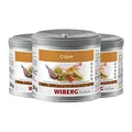 Produktbild: Wiberg Cajun Gewürzzubereitung, 280g 3er Pack