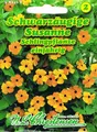 Produktbild: Schwarzäugige Susanne Schlingpflanze, blütenreich 'Thunbergia alata' 584450
