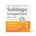 Produktbild: Solidago Compositum ad us.vet.Ampullen 10 St